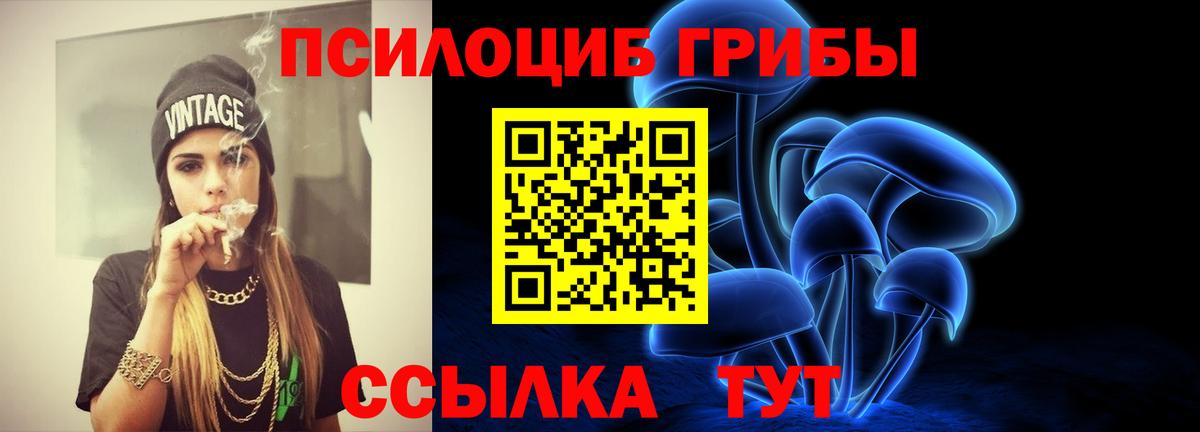 Баксан  Псилоцибиновые грибы прущие грибы  наркотики  Вход с VPN  Галлюциногенные грибы мицелий 